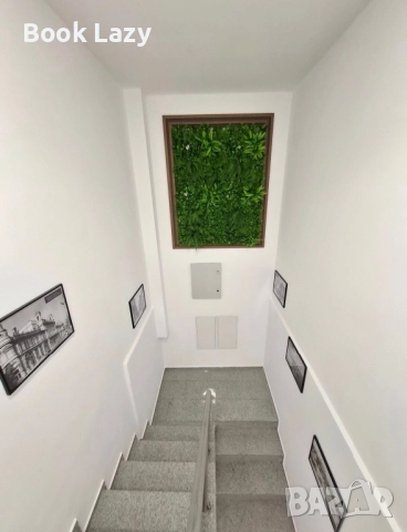 Ruse Charm Studios 1-4, снимка 6 - Селски туризъм и култура - 51863267