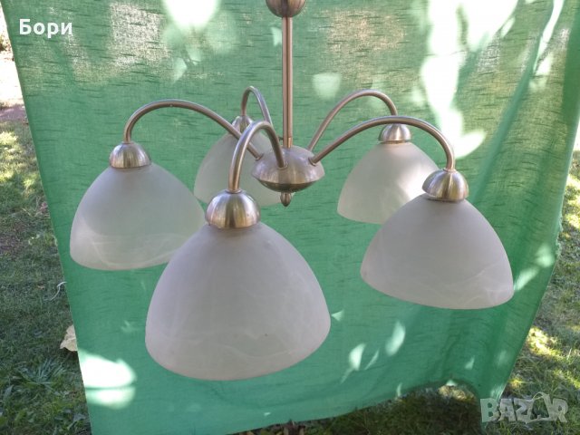 Немски полилеи, снимка 9 - Полилеи - 34331610