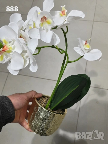 декоративни саксии цветя орхидеи , снимка 3 - Декорация за дома - 48361900