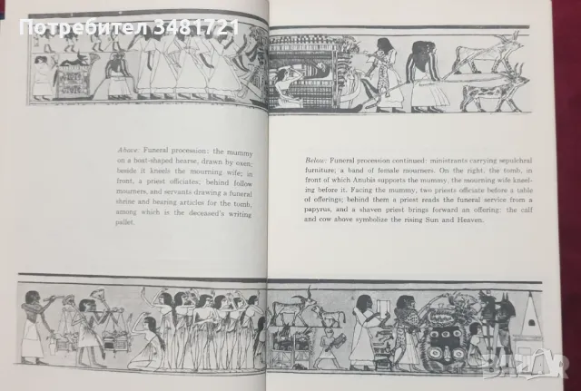 Египетска Книга на мъртвите / The Book of The Dead, снимка 6 - Енциклопедии, справочници - 47889738