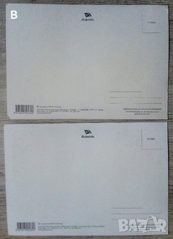 Комплект картички - Ермитаж, Цветя и Домашни птици, снимка 6 - Други - 36524858