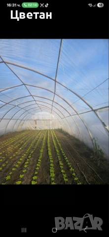 Оранжерии на 3г. + найлон, снимка 9 - Оранжерии - 53009529