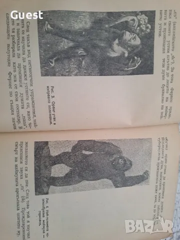 Как хората се научили да говорят, снимка 3 - Енциклопедии, справочници - 48434128