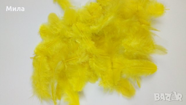 Пера, снимка 15 - Декорация за дома - 31498455