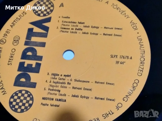 Неотон Фамилия голяма плоча 2 броя , снимка 3 - Грамофонни плочи - 51376892