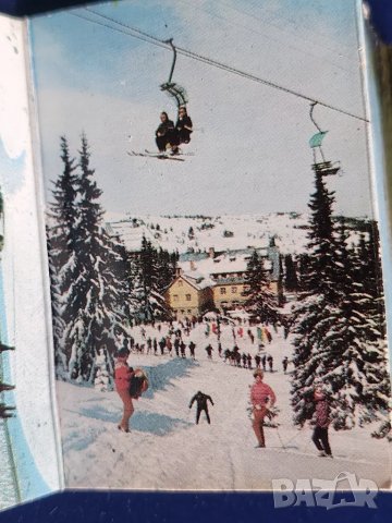 Видин фотографии (на малки диплянки) ч/б ( от 1950-те) и на Народен парк Витоша от 1973 г. цветни, снимка 12 - Други ценни предмети - 49939235