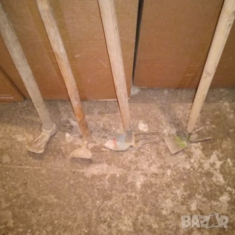 Мотичка малка