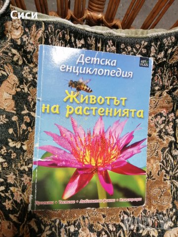 животът на растенията , снимка 2 - Други - 42291156