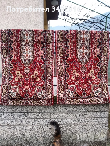 Две персийски пътеки , снимка 2 - Килими - 53231345