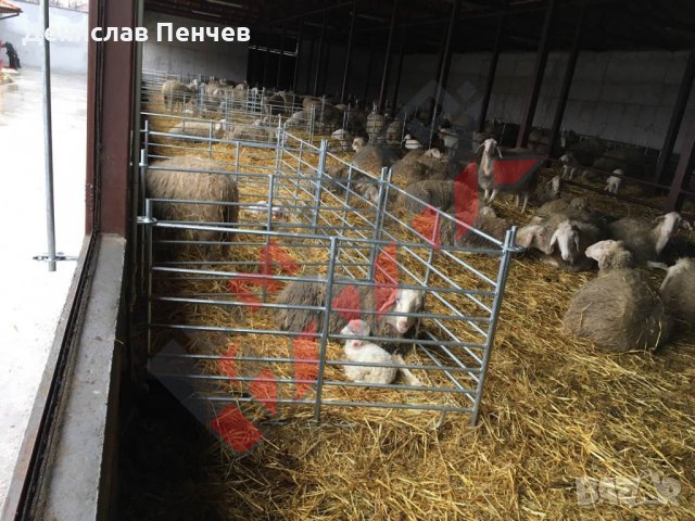 Прегради за овце и кози, снимка 4 - За селскостопански - 34655271