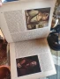 Стара немски цигарен албум от 30 те години , снимка 9