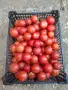 Продавам розов домат, снимка 2