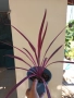 Кордилине розово с червено, снимка 2