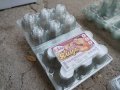  опаковки за 6 яйца, снимка 1 - За птици - 41550734