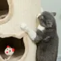 PawHut Котешка драскалка за котки, снимка 10