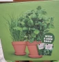2 бр теракотни саксий с билки, снимка 5