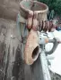 ръчна роначка за царевица , снимка 2