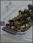 Уред за готвене на пара Cuisinart 5L., снимка 4