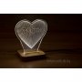 Настолна лампа сърце с име - подарък за 14 февруари, снимка 4