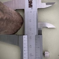 Еленов рог за дръжка на нож (за среден и голям нож), снимка 2 - Ножове - 40280762