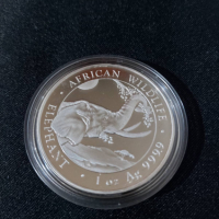 Сомалия 2023 - 100 Шилинга - 1 OZ – Слон Сребърна монета, снимка 4 - Нумизматика и бонистика - 44768088