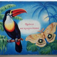 Чудеса на природата - З. Зорге, Х. Шрайер - 1971г. , снимка 1 - Детски книжки - 41855286