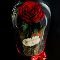 Подарък за Годишнина / Естествена Вечна Роза в Голяма Стъкленица / Оригинален Подарък за Жена, снимка 9 - Други - 34470749