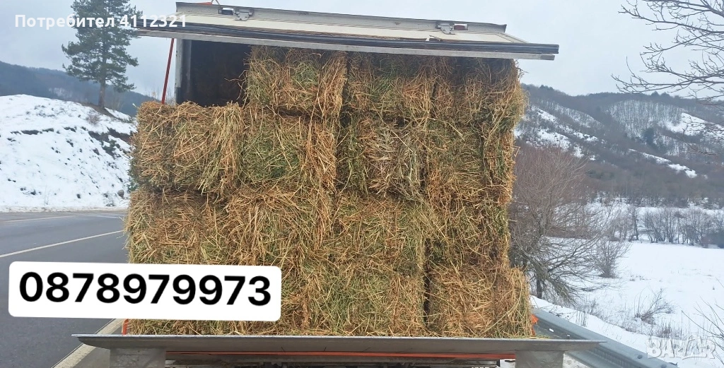 Бали люцерна - доставка на място , снимка 1