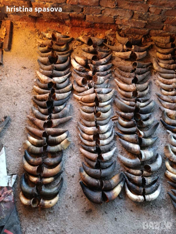 Рога , снимка 1