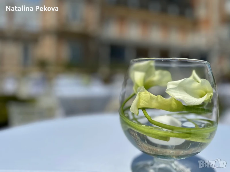 Стъклена купа за декорация , снимка 1