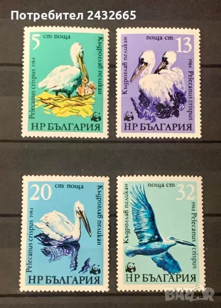 2447. България 1984 = БК 3345 /48: “ Фауна. Защитени животни : Къдроглав пеликан.”, **, MNH, снимка 1