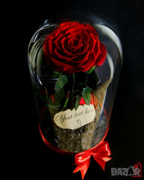 Подарък за Годишнина от Сватба / Естествена Вечна Роза в ГОЛЯМА Стъкленица/ Подарък за Любимата Жена, снимка 1
