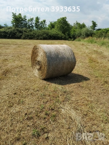 свободни Бали сяно мн добро дъжд не го е валяло, снимка 2 - За селскостопански - 53571322