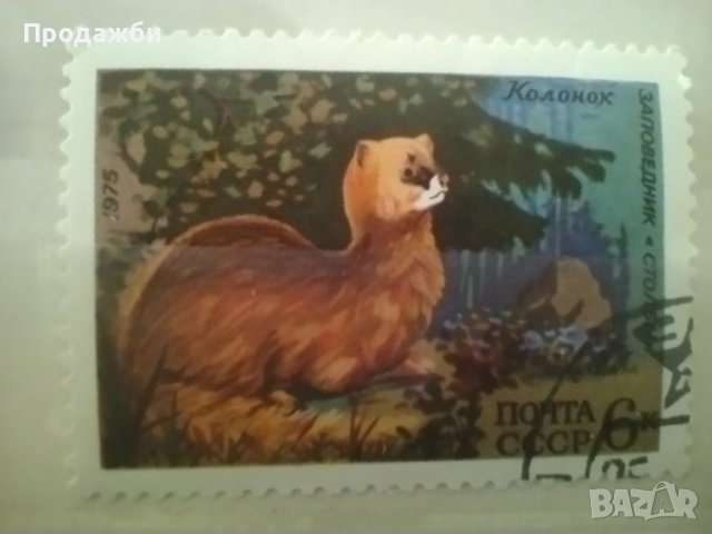 Стари марки с животни, снимка 7 - Филателия - 41476781