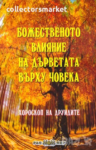 Божественото влияние на дърветата върху човека