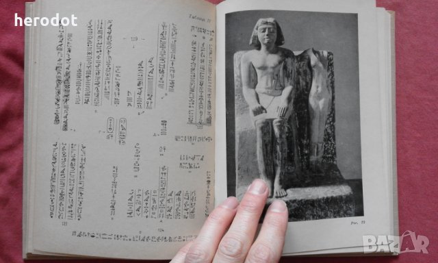 Древнеегипетская скульптура в собрании Государственного Эрмитажа, снимка 4 - Художествена литература - 34354779