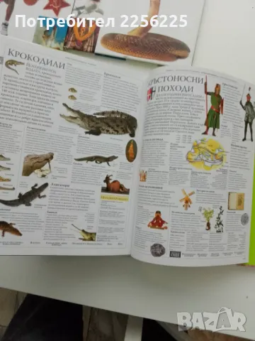 ЛОТ енциклопедии , снимка 3 - Енциклопедии, справочници - 49616366