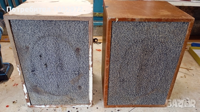 Тонколони български 