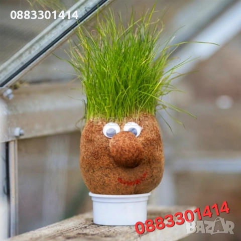 Чичко Тревичко 