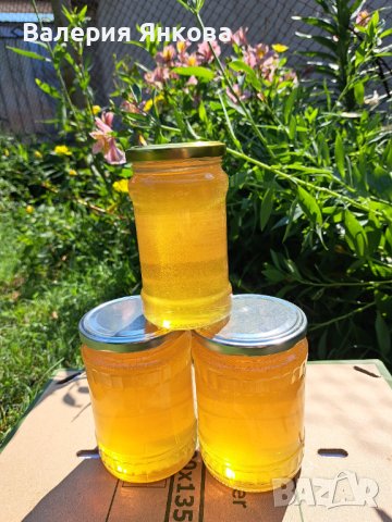 Акациев мед реколта 2025 г - 100 % натурален , снимка 3 - Пчелни продукти - 33253147