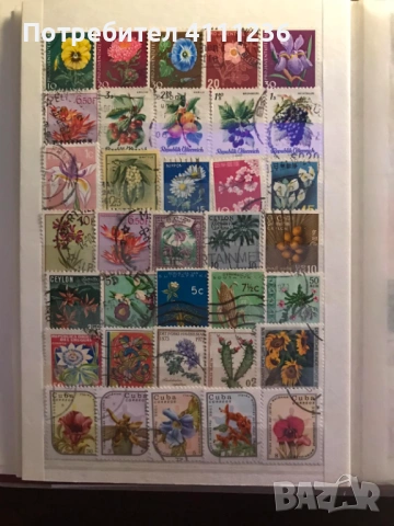 Класьор с марки на тема "Цветя", снимка 5 - Филателия - 53611717