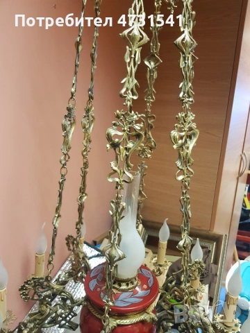 Полилей, снимка 4 - Полилеи - 53398820