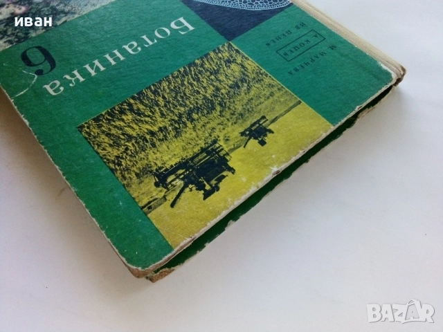 Ботаника за 6.клас - М.Марчева,А.Коцев,И.Пенев - 1969г., снимка 8 - Учебници, учебни тетрадки - 52403189