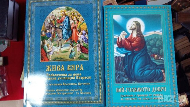 ДВЕ КНИГИ, снимка 1 - Други - 34504096