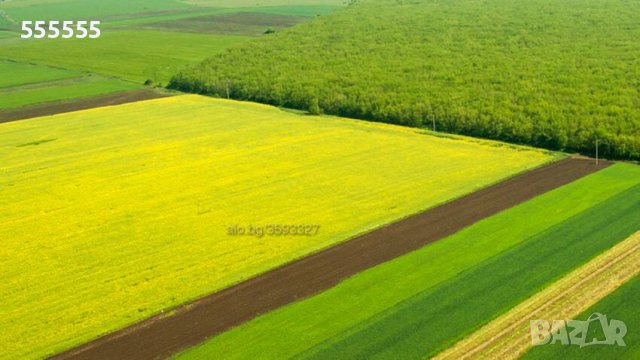 Купувам земеделска земя в землищата на общ. Сунгурларе и общ. Карнобат, снимка 2 - Земеделска земя - 35390250
