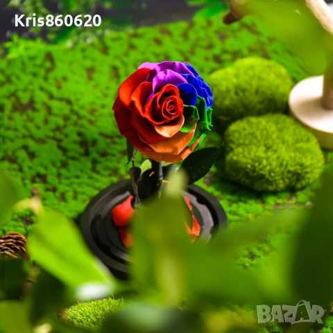 Омагьосаната роза – лимитирано издание Вечна роза - Цветна радост в подаръчна опаковка, снимка 4 - Стайни растения - 44560338