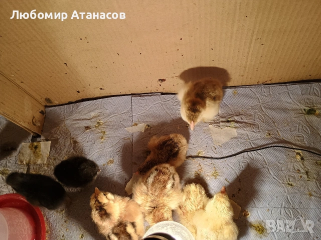 Продавам пилета 