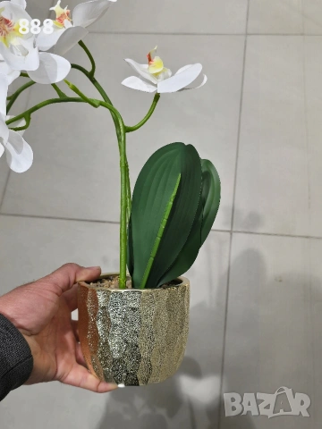 декоративни саксии цветя орхидеи , снимка 2 - Декорация за дома - 48361900