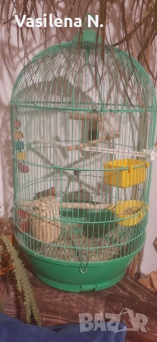 клетка за птички , снимка 2 - Канари - 52966147