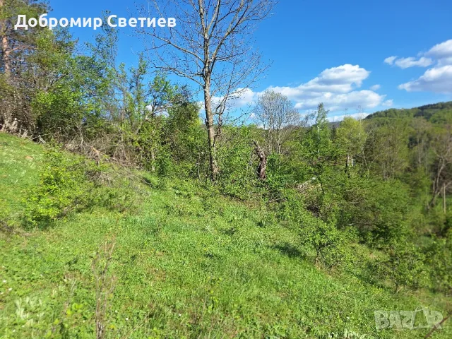 парцел в Еленският балкан , снимка 8 - Парцели - 50342176